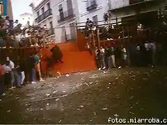 el toro q se escapo