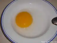 huevos ganso3