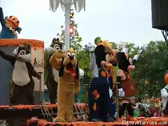 primera carroza primera carroza