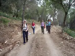 camino