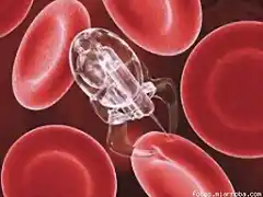 nanometrica