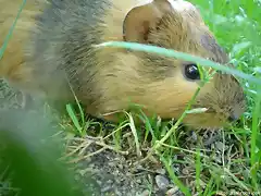 Que mirada!