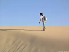 Vagando por el desierto Vagando por el desierto