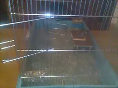 Puerta donde podre caseta de periquito Puerta donde podre caseta de periquito
