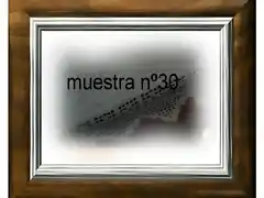 muestra  2