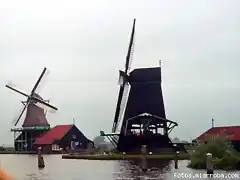 Holanda. Molinos en Edam