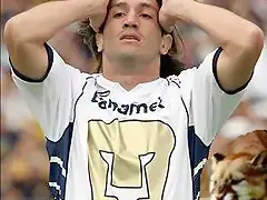 PUMAS NO PUDDO