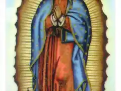 Imagen Viregen de Guadalupe