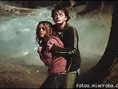 harry y hermy