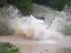 cambori acuatico