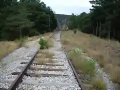 Algn tramo corto de Soria se hizo incomodo