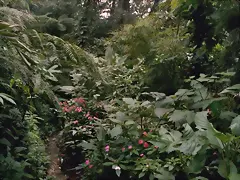 El bosque