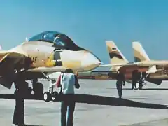 Iran-Bushehr-F-14.jpg