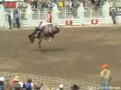 Rodeo