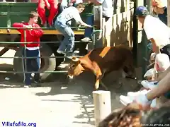 La vaquilla saliendo del toril