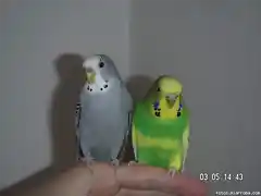 Paco y Pepa