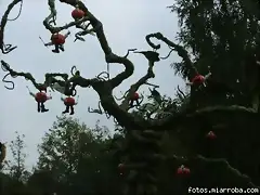 Mata de calabazas, así nacen los hombres calabaza Mata de calabazas, así nacen los hombres calabaza