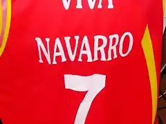 Camiseta Viva Navarro back