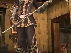 lineage2