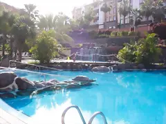 bonita