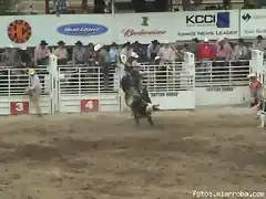 Rodeo