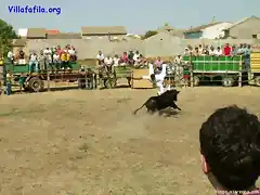 Volando sobre la vaquilla