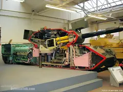 Cutaway Leopard 1