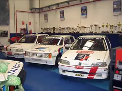 Peugeot y Samba