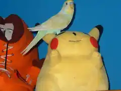 Pierre y Pikatxu! :)