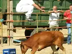 Espectacular salto de la Vaquilla