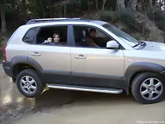 Saludando