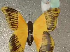 Pericos en la mariposa!!