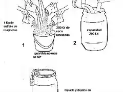 sulfato de magnesio