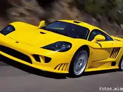 saleen2