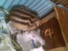 Goku me enseña el culo Goku me enseña el culo