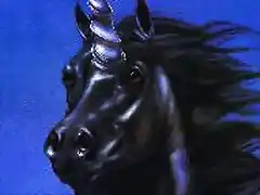 UNICORNIO NEGRO