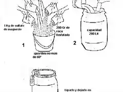 sulfato de magnesio 2