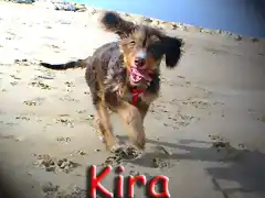 Kira