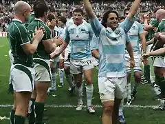 Loa Pumas - Argentina