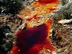 nacimiento del rio tinto