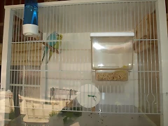 P9070036 P9070036