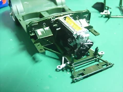 P1100299 P1100299