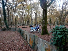 DSCN0752 DSCN0752