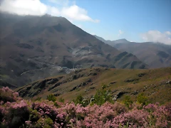 DSCN3942 DSCN3942