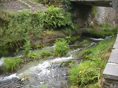 DSCN5675