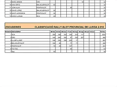 CLASIFICACIN PROVINCIAL RALLY 2010_Pgina_3