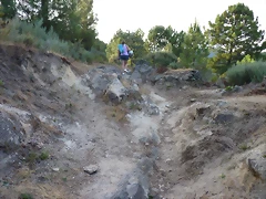 P1070313 P1070313