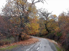 DSCN9506 DSCN9506