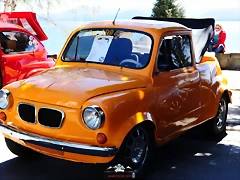 CAS_4010 CAS_4010