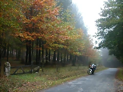 DSCN8421 DSCN8421
